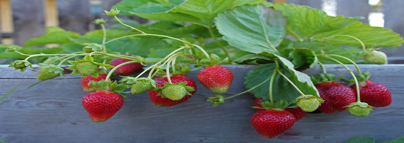 4655257364 D898593af5 B