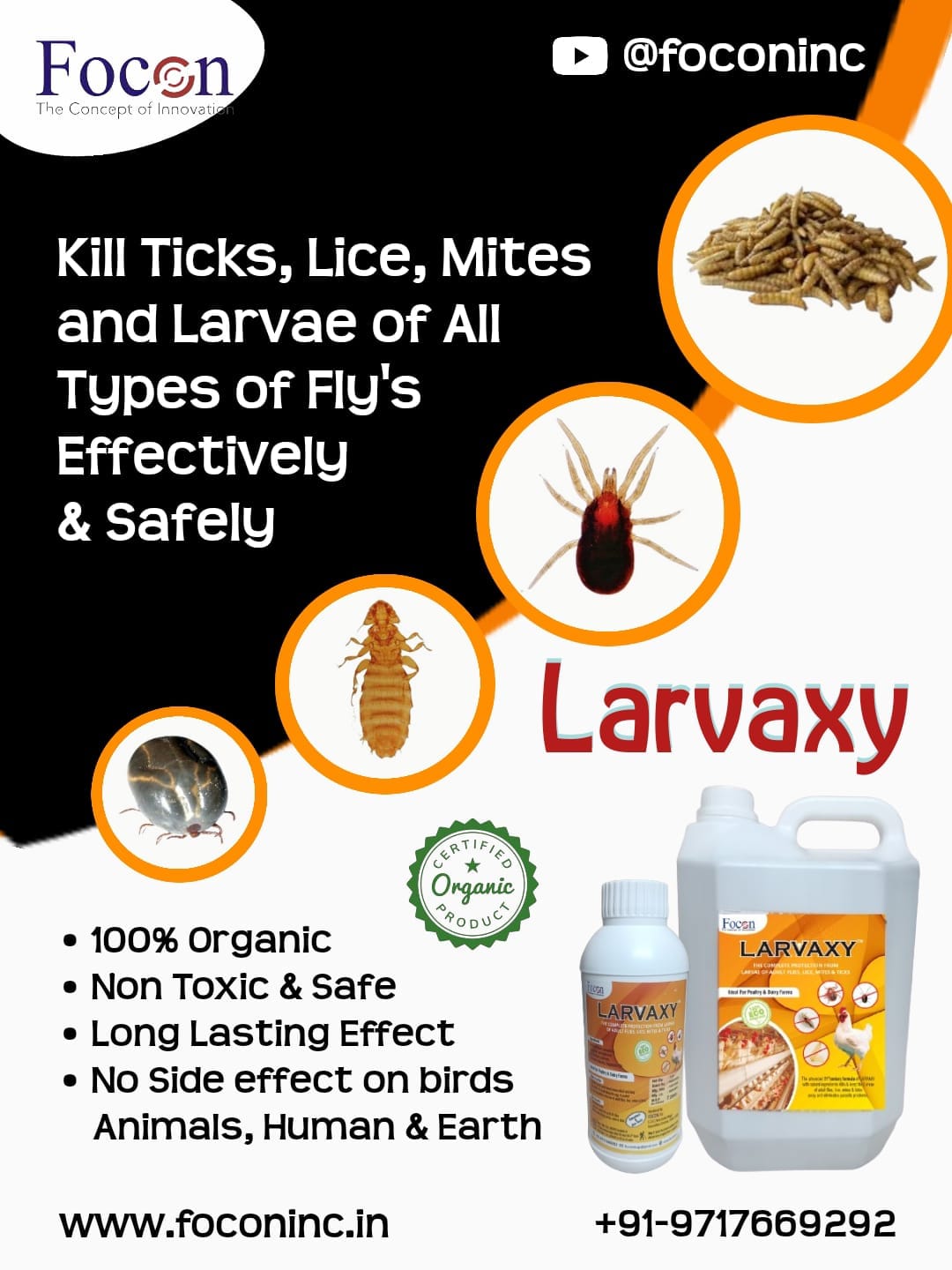 LARVAXY