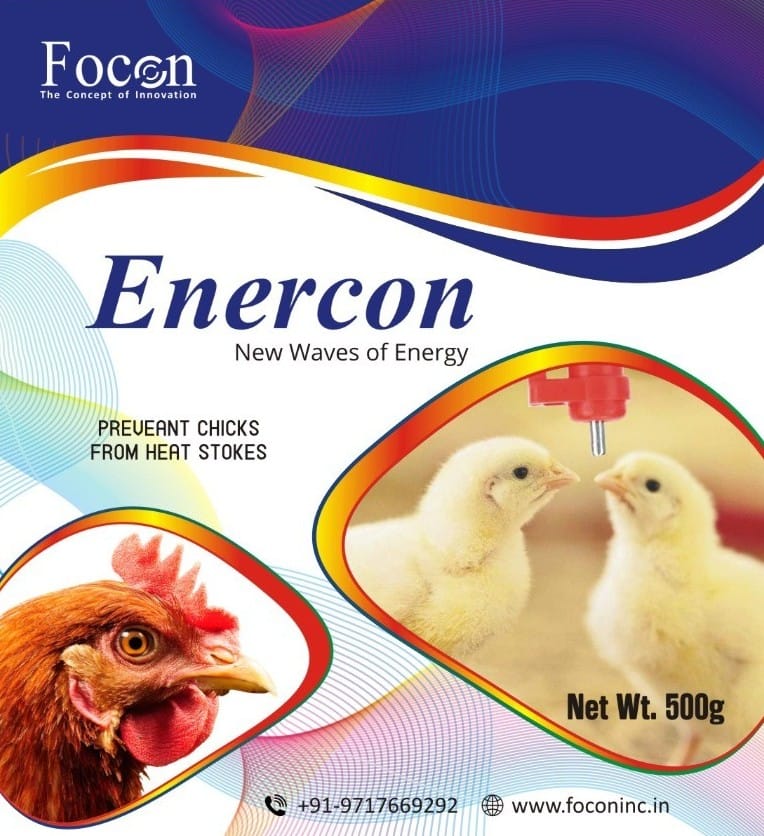 focon-enercon