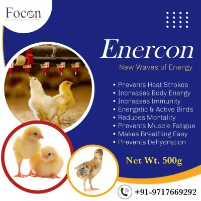 Enercon Enercon
