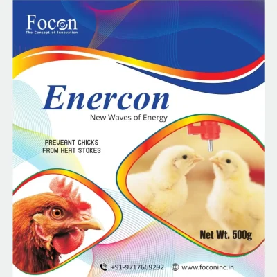 focon enercon focon enercon